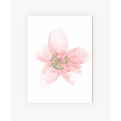 Placas Decorativas Floral Rosa Menina - PC78